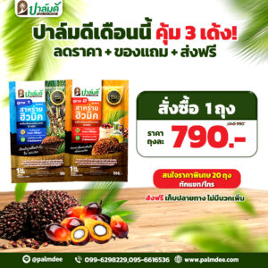 โปรโมชั่นพิเศษ 1 ถุง