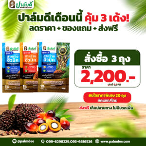 โปรโมชั่นพิเศษ 3 ถุง