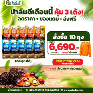 โปรโมชั่น 10 ถุง แถมฟรี เสื้อปาล์มดี 1 ตัว