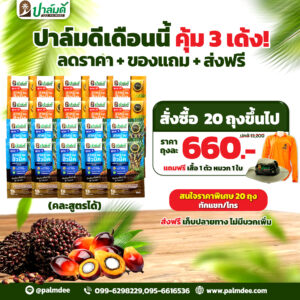 โปรโมชั่น 20 ถุง ขึ้นไป  ราคาพิเศษ  คละได้ แถมเสื้อปาล์มดี 1 ตัว + หมวกปาล์มดี 1ใบ