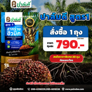 โปรโมชั่นพิเศษ 1 ถุง สูตร1