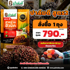 โปรโมชั่นพิเศษ 1 ถุง สูตร2
