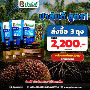 โปรโมชั่นพิเศษ 3 ถุง สูตร 1