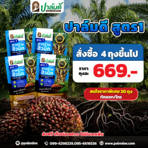 โปรโมชั่น 4 ถุง ขึ้นไป สูตร 1 ราคาพิเศษ