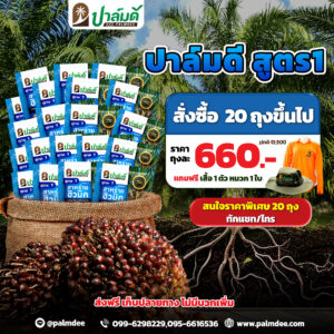 โปรโมชั่น 20 ถุง ขึ้นไป  สูตร1 ราคาพิเศษ  แถมเสื้อปาล์มดี 1 ตัว + หมวกปาล์มดี 1ใบ
