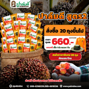 โปรโมชั่น  20 ถุง ขึ้นไป  สูตร2 แถมเสื้อปาล์มดี 1 ตัว + หมวกปาล์มดี 1ใบ